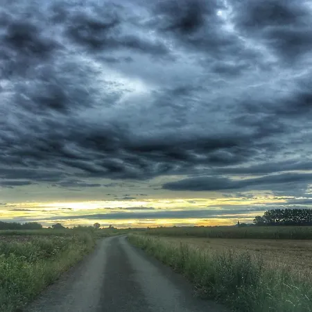 Amoulogies * Amougies