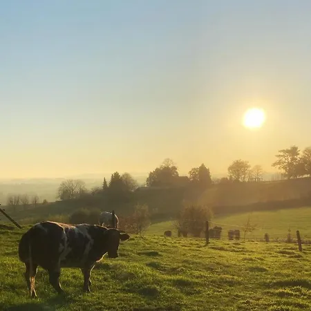 Amoulogies Vila Amougies