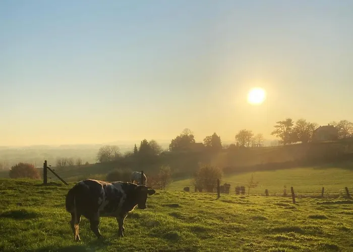 Amoulogies Vila Amougies